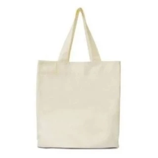 40 Sacola ecobag bolsa ecológicamente correto 15x20