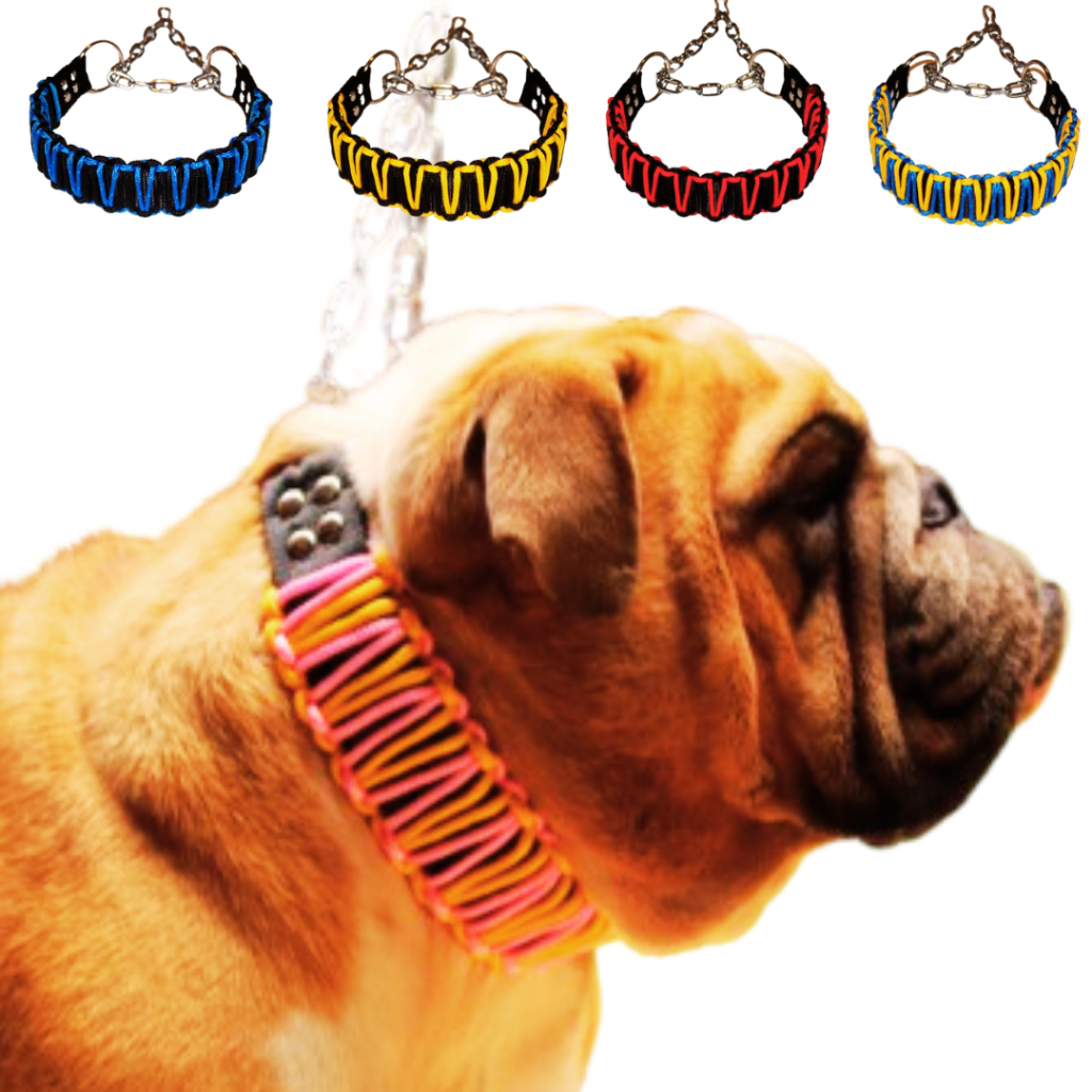 Coleira Enforcador Corrente Pitbull American Bully Pit Monster ...