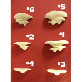 Cogumelos decorativos para parede