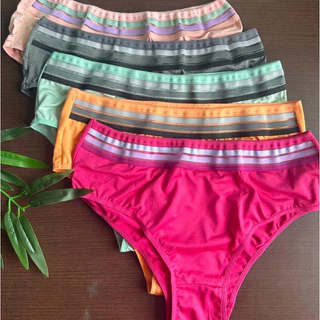 Kit com 10 Tanga Calcinha Lingerie Microfibra Linha Premium Vavá