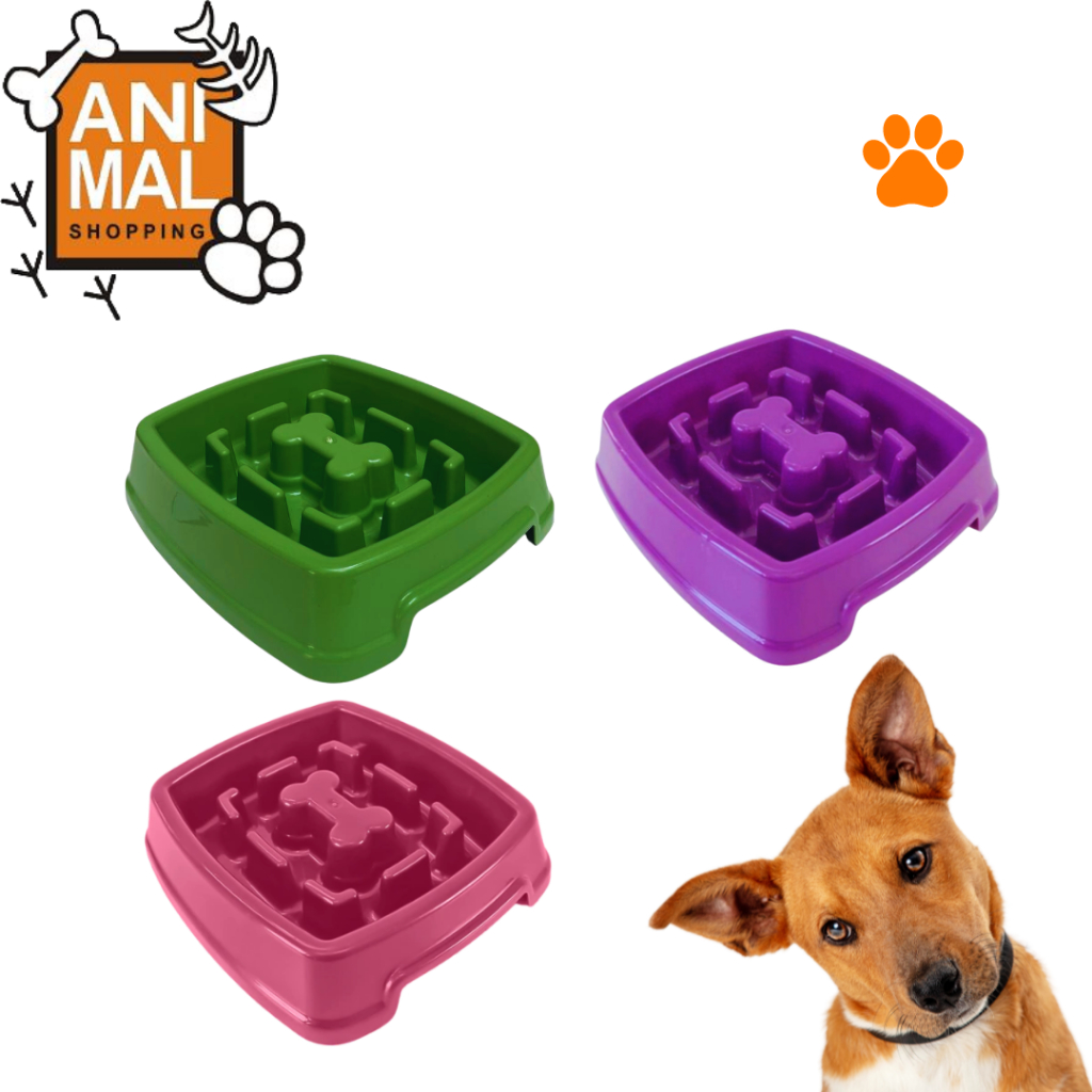 Comedouro Educativo Lento Interativo Pet para Cachorro Cães 650ml ...