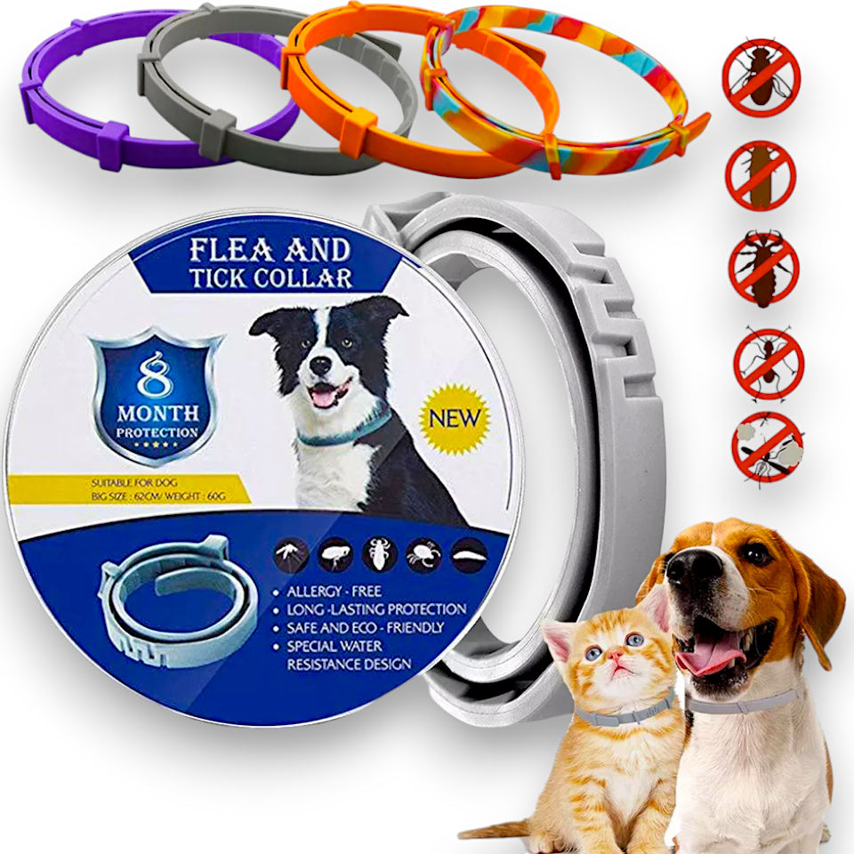 Coleira Anti Pulga Carrapato Leishmaniose para cachorro e gato E ...