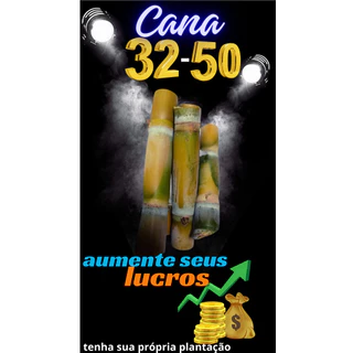 kit 20 gemas olhos de cana 3250