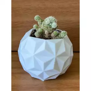 Vaso Geométrico Redondo para Suculenta