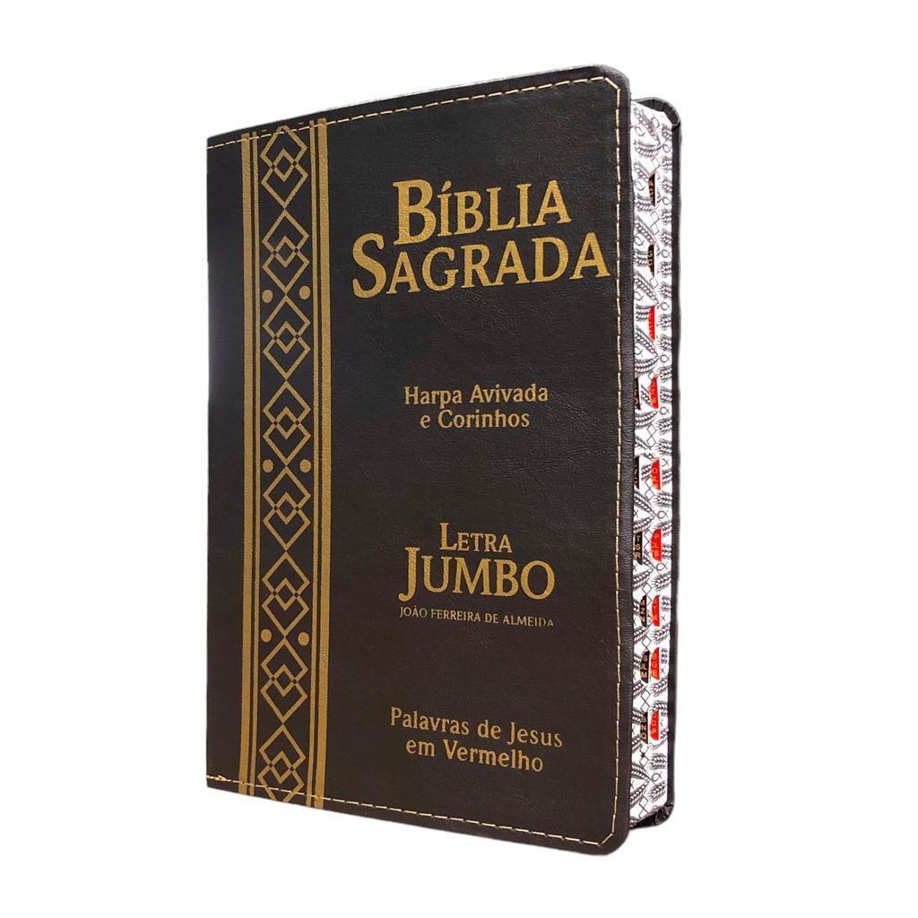 Bíblia Sagrada Evangélica Pentecostal Capa Luxo Flexivel Feminina e ...