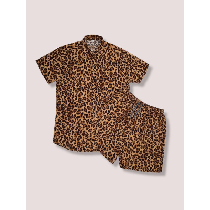 Tops Estampado Animal para Mulher, Nova Coleção Online