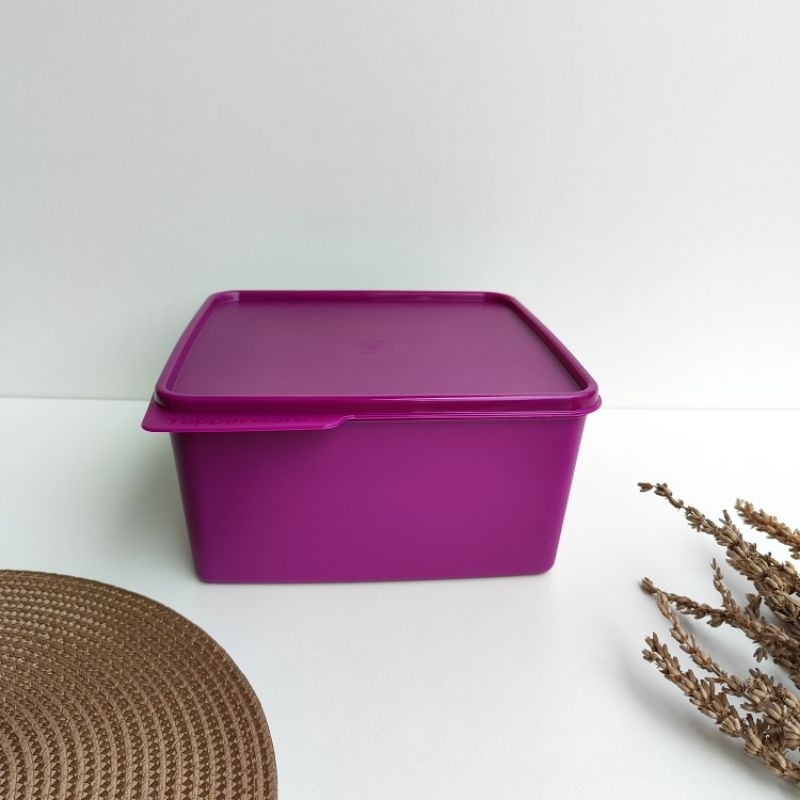 Basic Line 2,5L Tupperware Original | Shopee Brasil