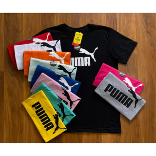Camisa Camiseta Masculina várias cores Malha Algodão 30.1 penteada top de linha