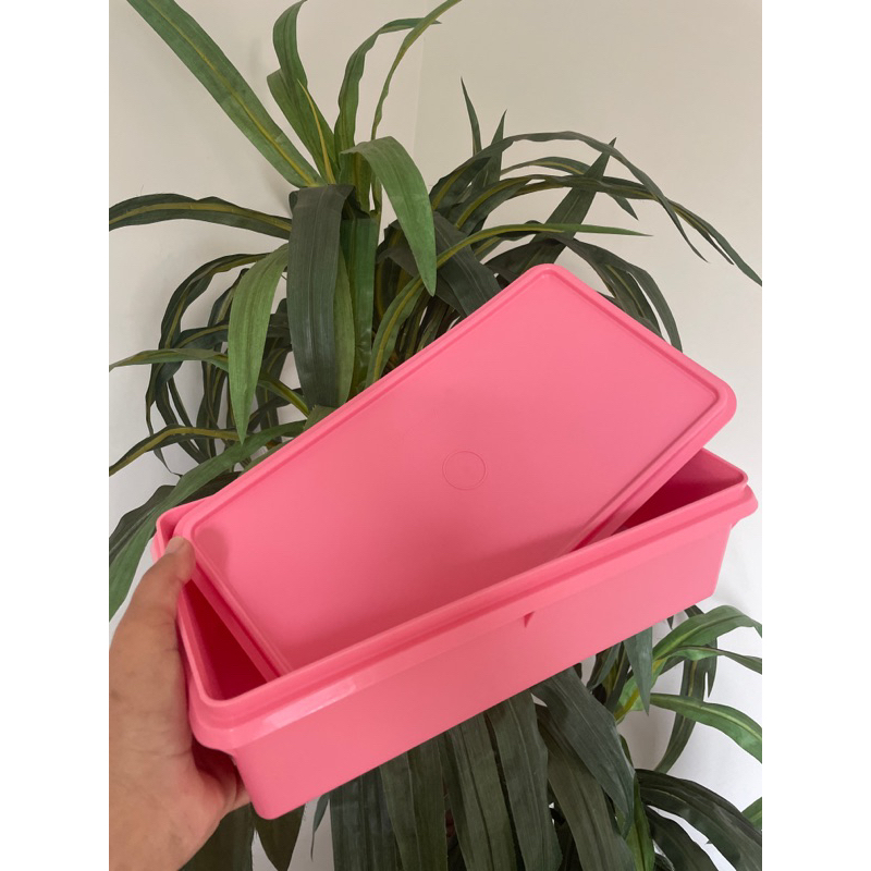 Tupperware Caixa 2,5 L Freezer Completa Ou Acessórios | Shopee Brasil