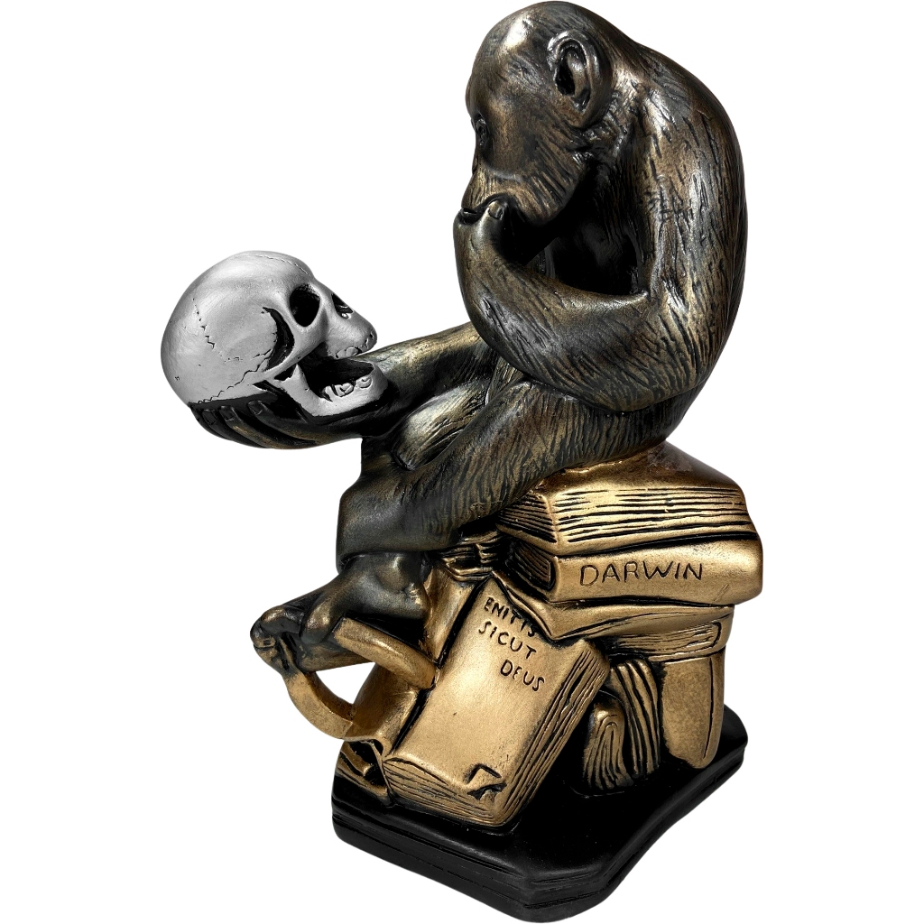 Macaco Com Crânio - Símbolo - Mutação - Darwin - Estatueta