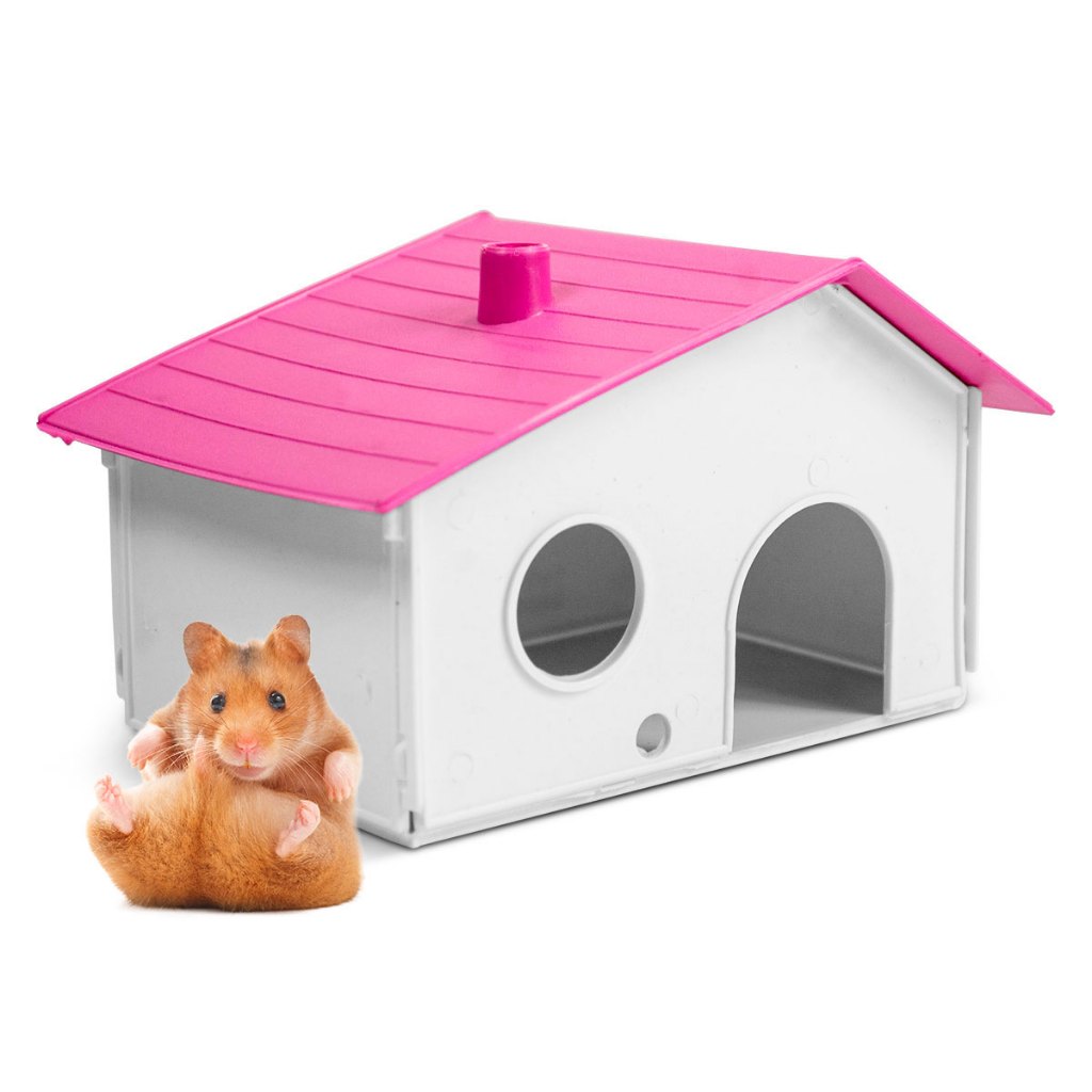 Casinha Hamster Colorida Novidade Escolha