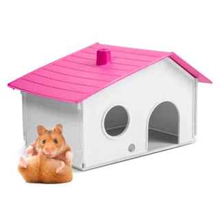 Casinha Hamster Colorida Novidade Escolha