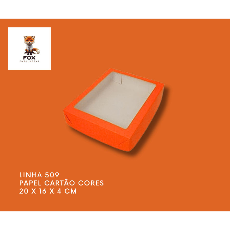 10 Caixas para donuts e cookies com visor - Linha 509