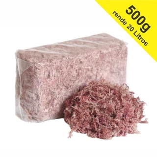 500g Musgo Esfagno Sphagnum Sfagno Rosa Seco Desidratado Para Orquideas Kokedama Decoração Arranjos Flores