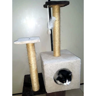 Arranhador Toca Para Gato cores variadas