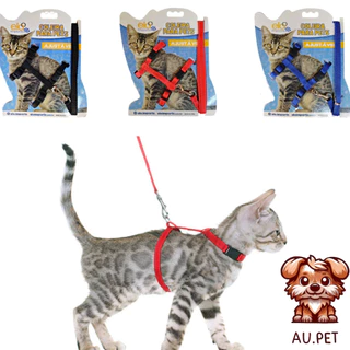 Kit com 2 Coleira para Gatos e cachorro Coleira Peitoral com Guia