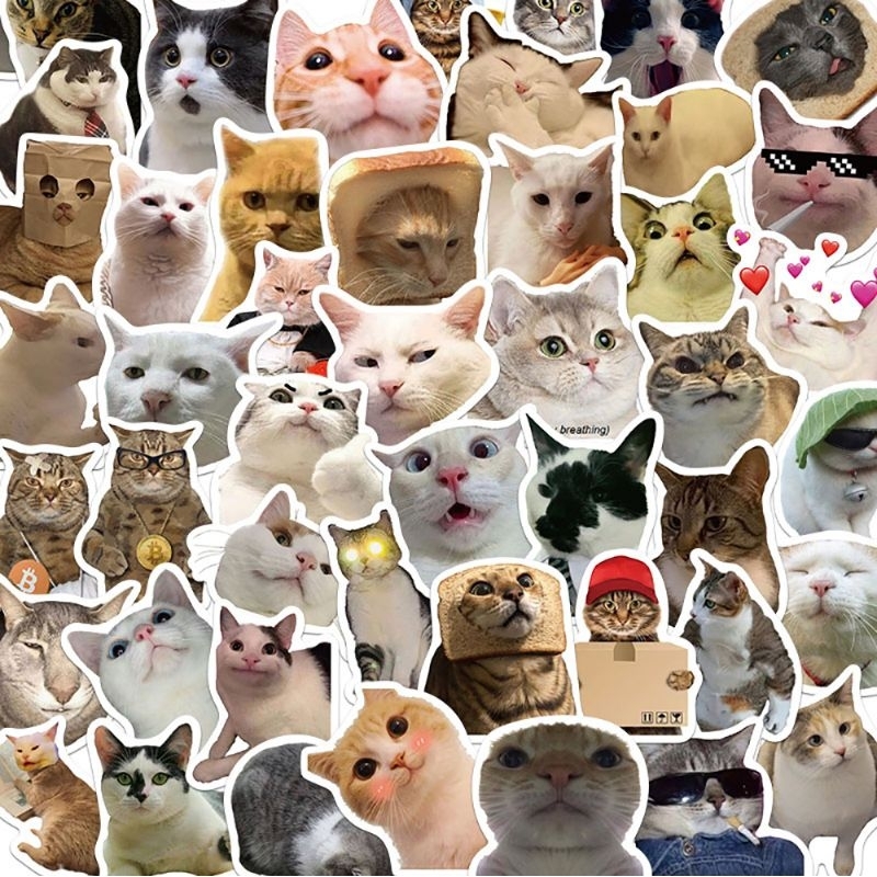 Gatos Meme adesivos impermeável 25/50pcs stickers | Shopee Brasil