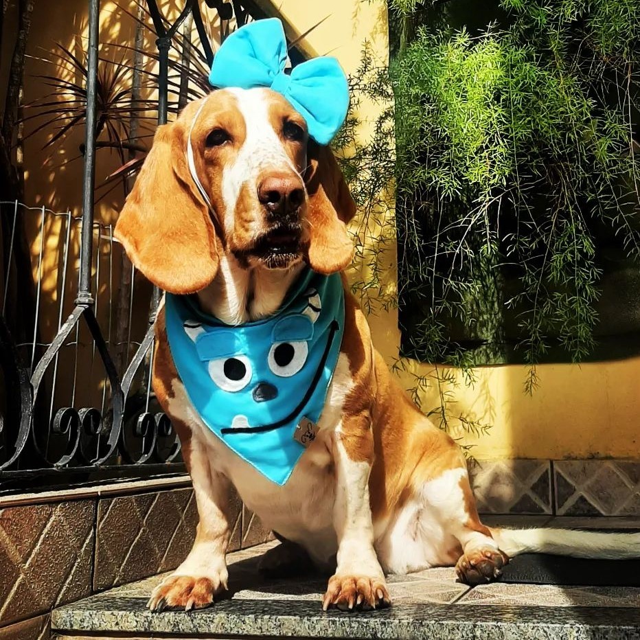 Bandana para Pet Animaliê SULLIVAN MONSTROS S.A Dupla Face com Botão de Pressão