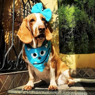 Bandana para Pet Animaliê SULLIVAN MONSTROS S.A Dupla Face com Botão de Pressão