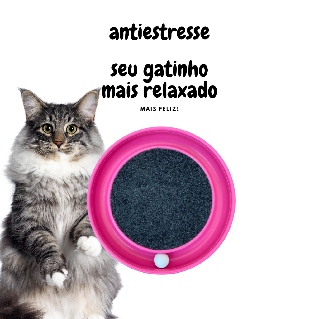 Arranhador Interativo Antiestresse para Gatos