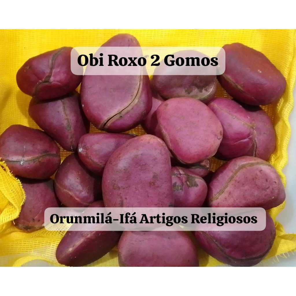 Obi Roxo 2 Gomos - 1 unidade | Shopee Brasil