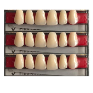 Dente Provisório Resina Reforçada A25 Superior 62