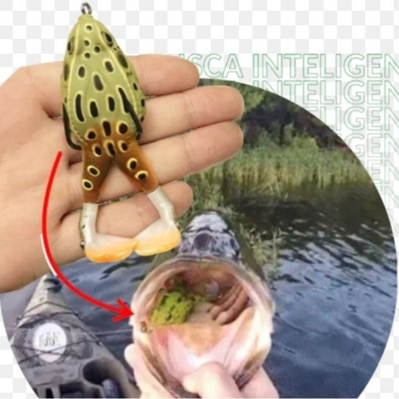 Isca artificial flog para traíra e dourado isca sapinho isca rã ...