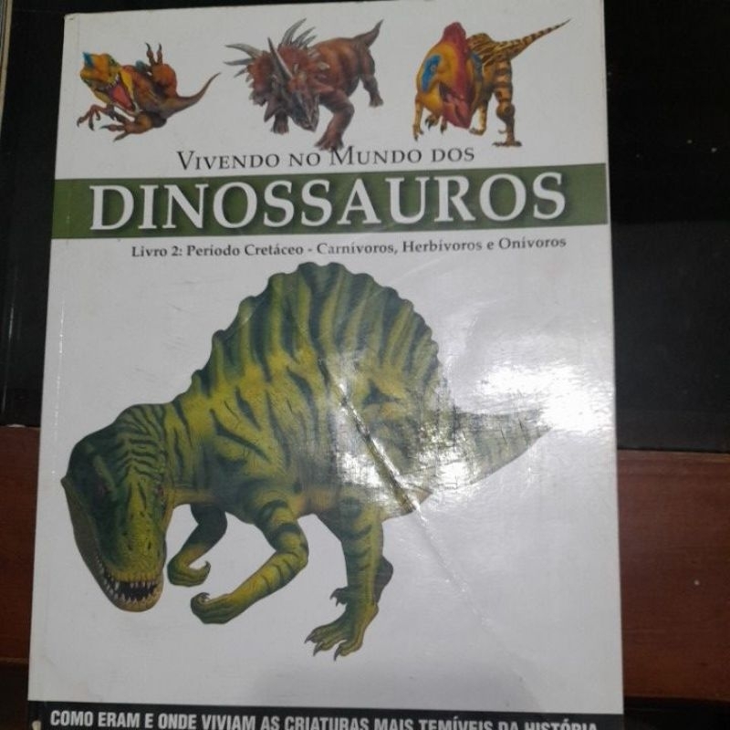Dias Perfeitos Vivendo No Mundo Dos Espiritos (Portuguese Edition ...