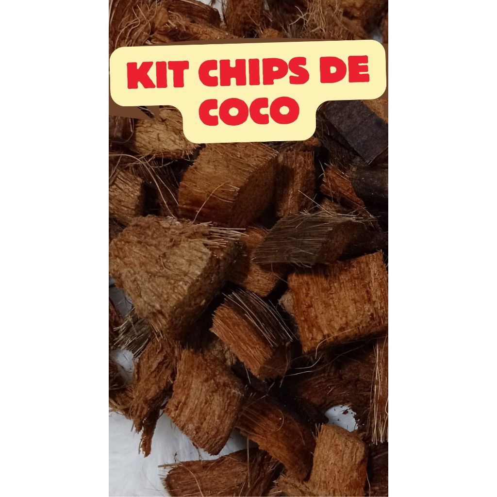Kit Chips de Coco Natural de 250gr | Shopee Brasil
