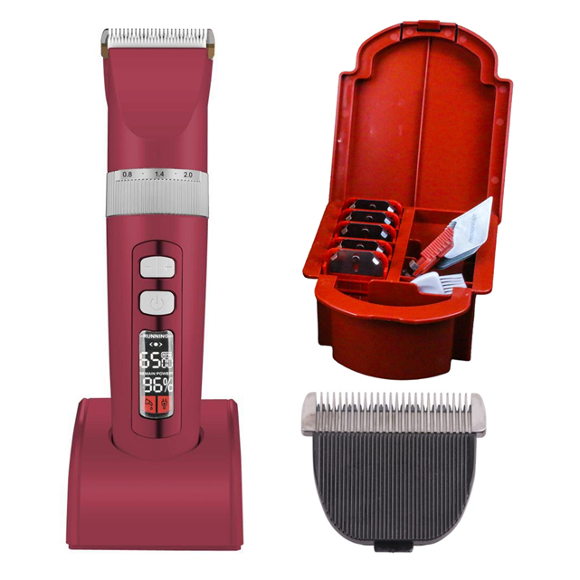 br-11134207-7r98o-lsivellb86xwf1