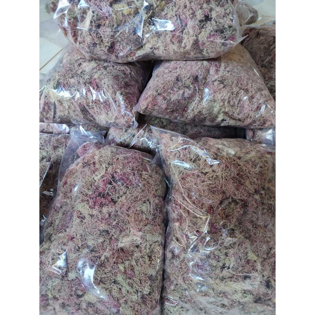 8 Litros, Sfagno, musgo, kokedama, orquídeas, decoração