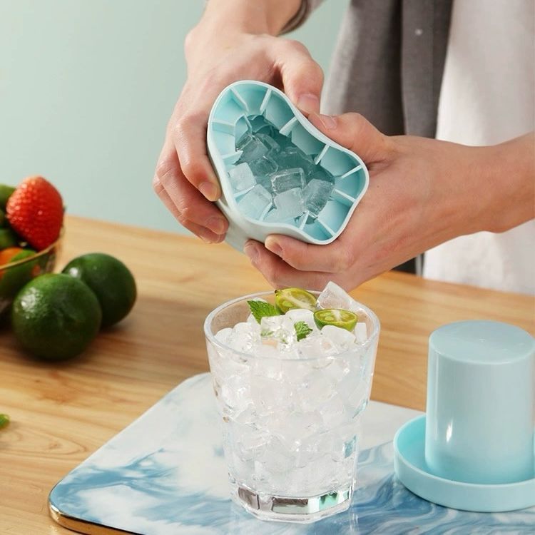 Molde De Cubo De gelo Forma Silicone