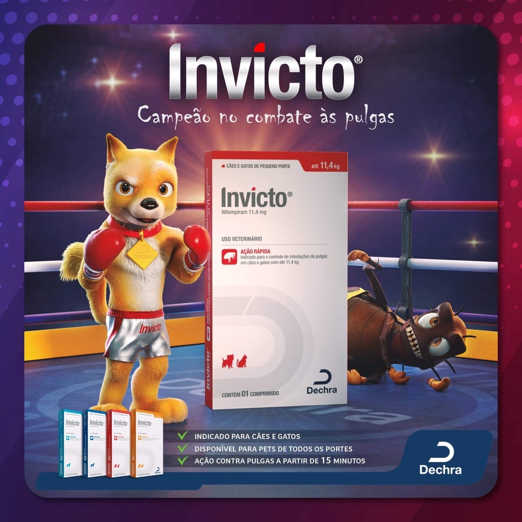 Invicto 11,4kg ou 57kg Remédio para Pulga e Alívio da Coceira ...