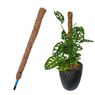 50/60/80/100cm Tutor De Musgo Para Plantas Suporte De Sphagnum