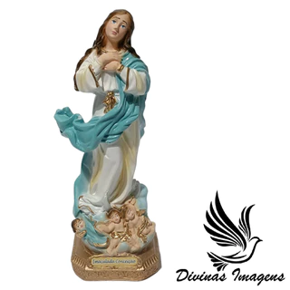 Imagem Nossa Senhora Da Conceição Gesso Premium 20cm Pintado