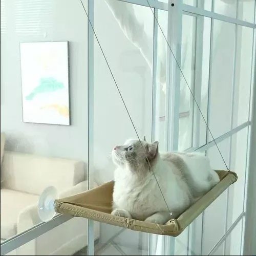 Cama Caminha De Janela Para Gatos Com Ventosas Suspensa Rede Cor Bege