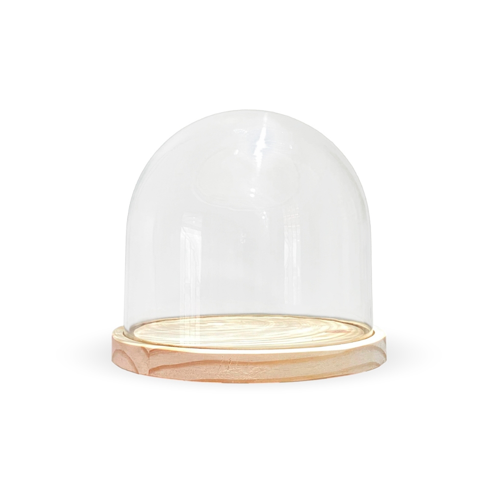 Redoma Cúpula Vidro Grande Decoração C/base Madeira 18,3cm | Shopee Brasil