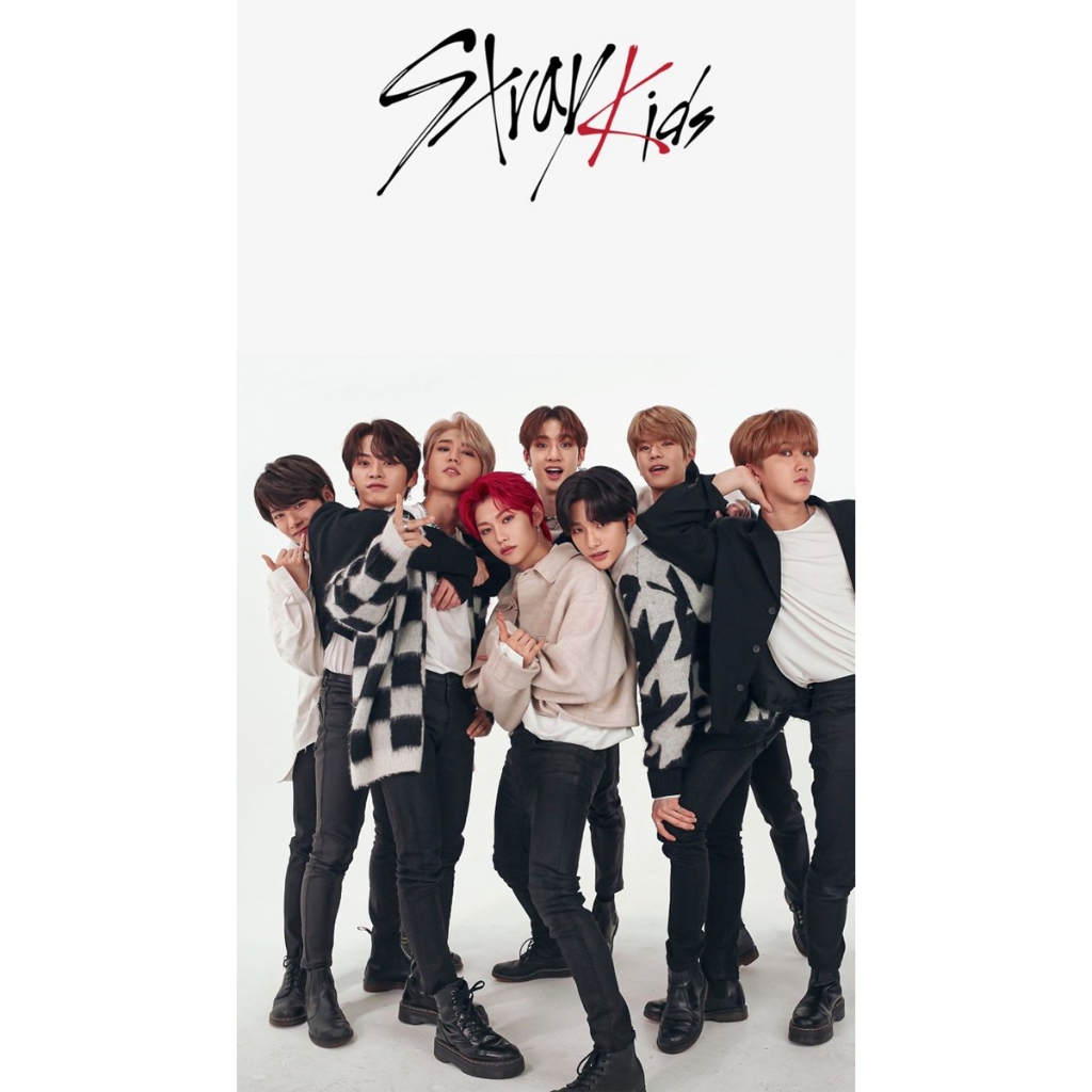 placa-decorativa-stray-kids-kpop-20x30-shopee-brasil