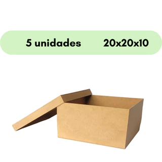 Caixa com tampa 20x20x10 - 5 unidades em Oferta na Shopee