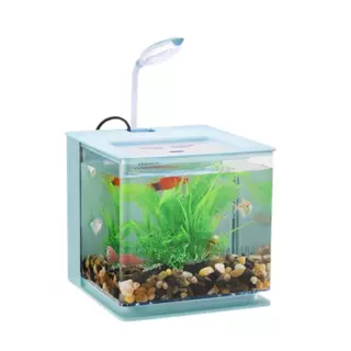 Aquario colorido de mesa para peixe com filtro traseiro