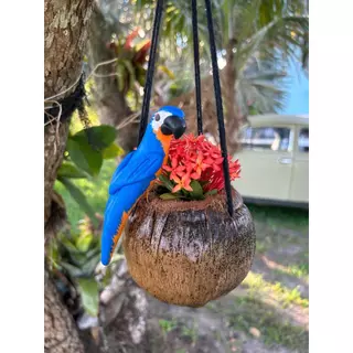 Vaso suspenso feito de coco Arara Canindé artesanal - enfeite de jardim