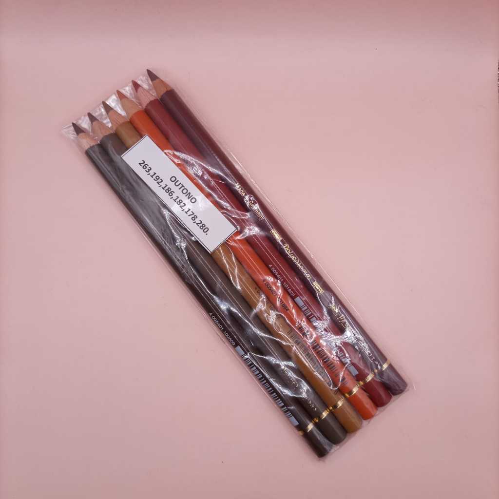Polychromos - 6 cores - Faber Castell