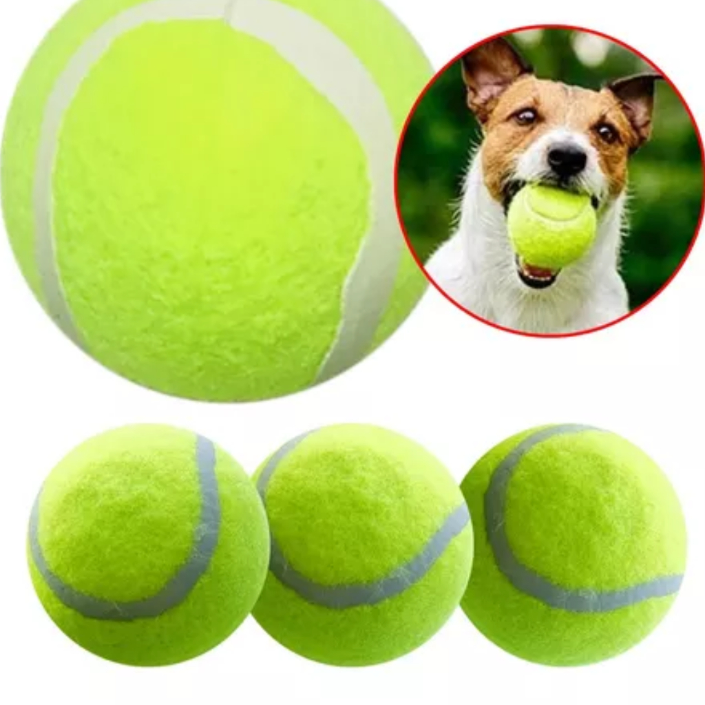 Kit 4 Bolas brincadeira para cachorro pet Tênis Bach Tênis cor Verde