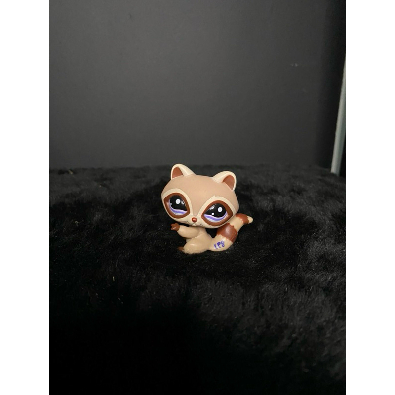 Littlest Pet Shop Guaxinim #1348