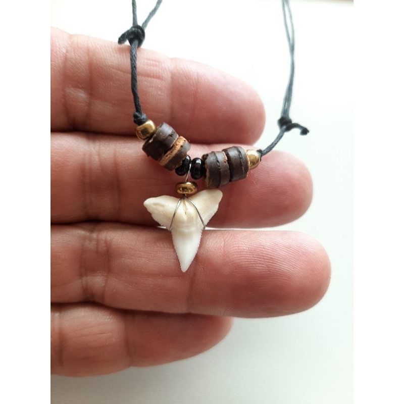 colar dente de tubarão natural cordão regulável | Shopee Brasil