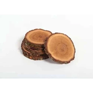 kit 6 bolachas de madeira de 15 cm de diâmetro