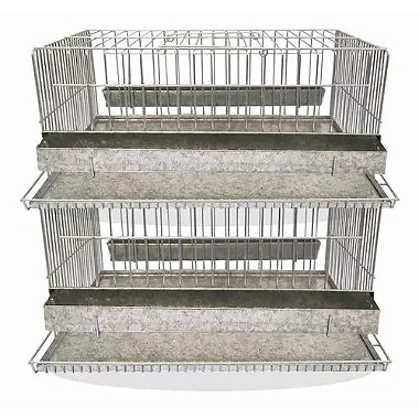 Kit 2 Gaiola Codorna Chinesa Viveiro Bateria 30 Poedeira Ovo