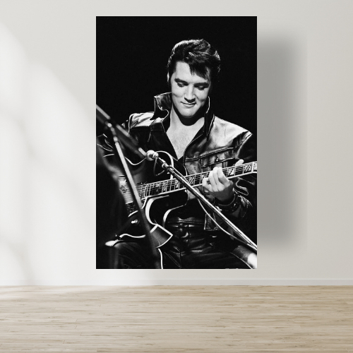ひまわり30さん専用　ELVIS 20 ORIGINAL ALBUMS Elvis Presley | Quadro Decorativo MDF 20x30cm | Shopee Brasil