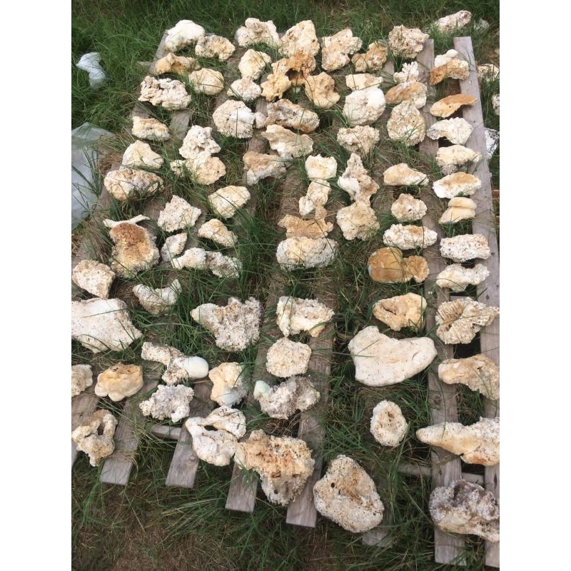 Rochas para Aquários.