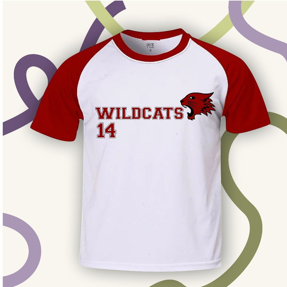 Camiseta Wildcats HSM High School Musical Troy Bolton 14 High School Musical